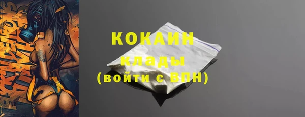 стаф Белокуриха