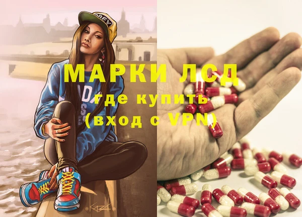 стаф Белокуриха