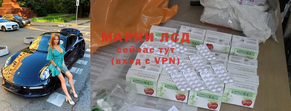 стаф Белокуриха
