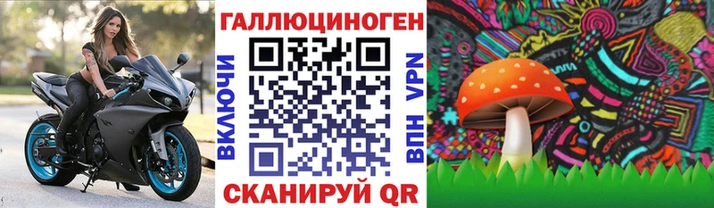 Галлюциногенные грибы мицелий  Кодинск 
